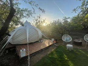 Sirbaggia glamping, Partinico